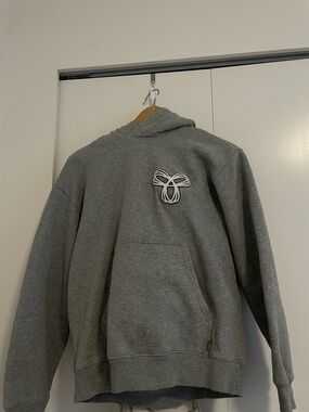 TNA Aritzia Hoodie